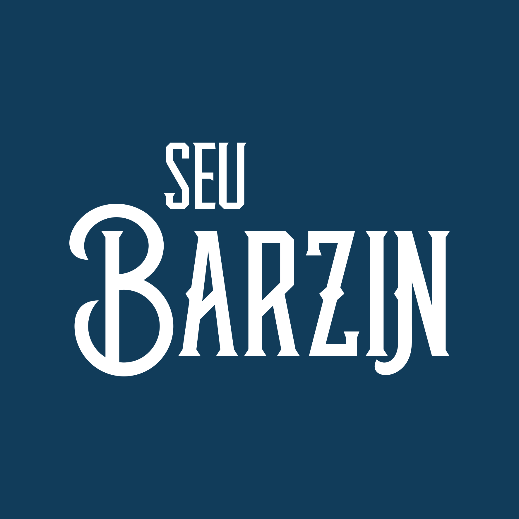 Seu Barzin